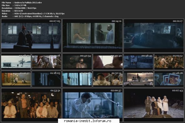 Undeva la Palilula (2012) - sasadoru - Filme rom�nesti - Romanian Movies