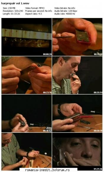 [VT] Harmonica : Repair and Modification, by Rupert Oysler - Screenshot and mirror links - Tutoriale generale