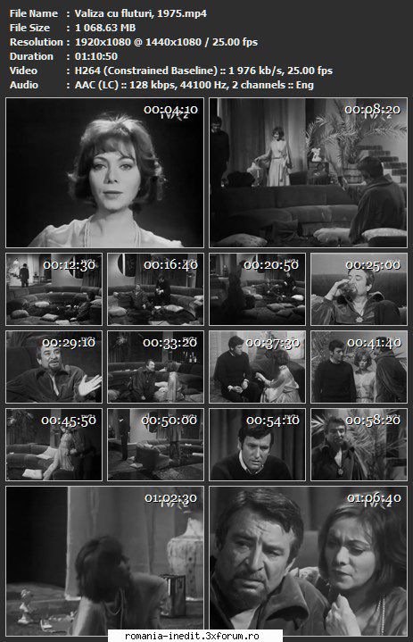 Valiza cu fluturi (1975) (Teatru TV) - sasadoru - Teatru rom�nesc - Romanian Theater