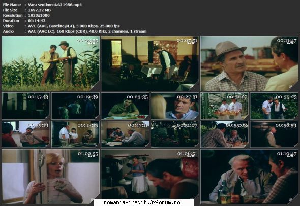Vara sentimentala (1985) - sasadoru - Filme rom�nesti - Romanian Movies