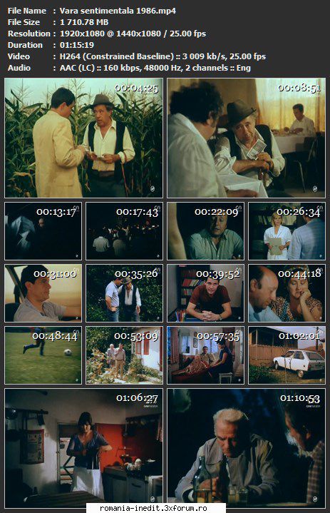 Vara sentimentala (1985) - sasadoru - Filme rom�nesti - Romanian Movies