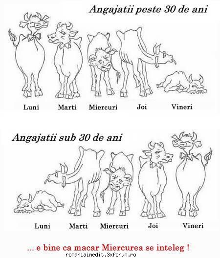 Varsta & pofta de munca - SoDMaster - Funny