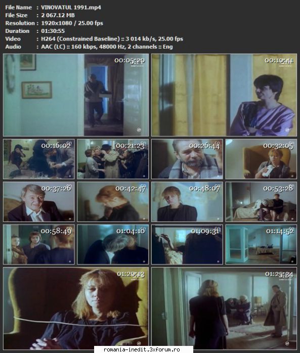Vinovatul (1991) - sasadoru - Filme rom�nesti - Romanian Movies