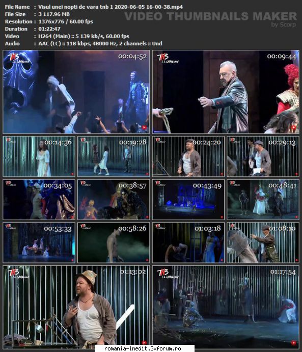 Visul unei nopţi de vară Shakespeare (2005) (TNB) - sasadoru - Teatru rom�nesc - Romanian Theater