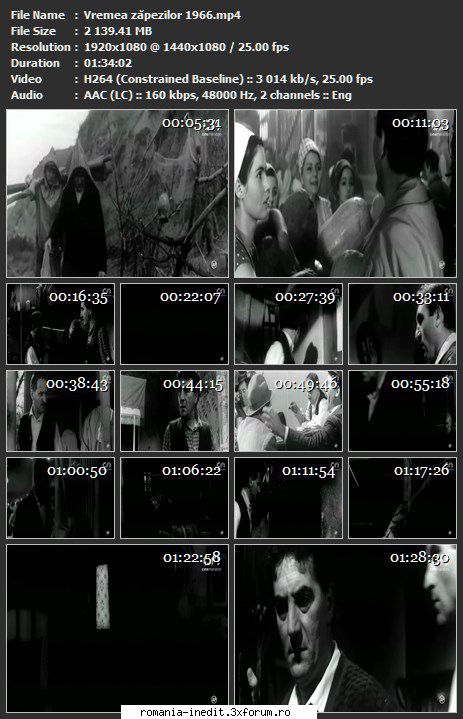 Vremea zapezilor (1966) - sasadoru - Filme rom�nesti - Romanian Movies