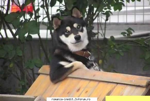 aa! Wassssssup!!! - Xpector - Funny