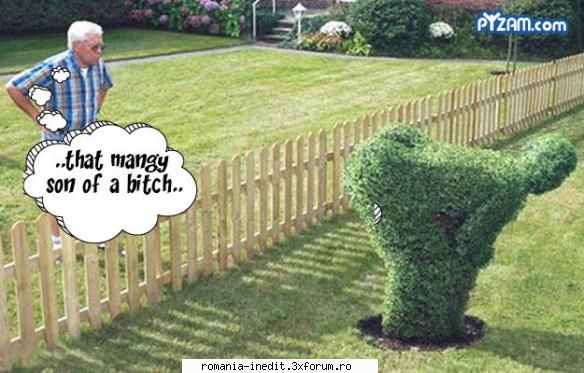 asta are un vecin talentat - offthelimit - Funny