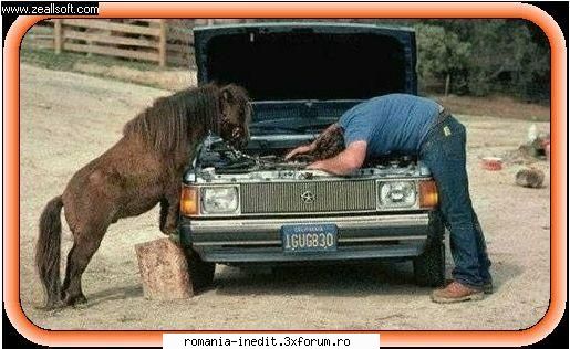 auto service - reparatii cu garantie! - Funny