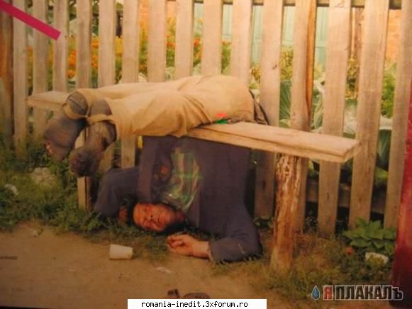cand sa te opresti din baut - offthelimit - Funny