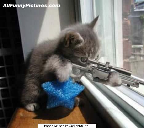 cateva poze funny - zadicon - Funny
