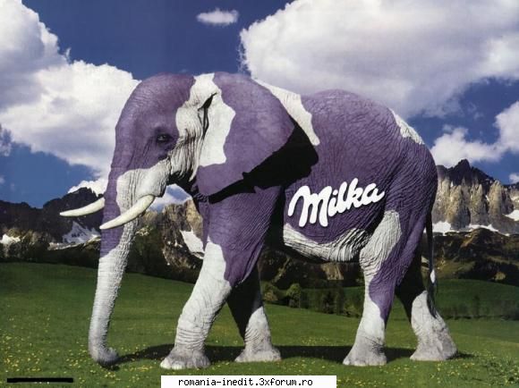 ce animal aveti?? - m-am gandit ca daca tot spunem si aratam ce - Funny