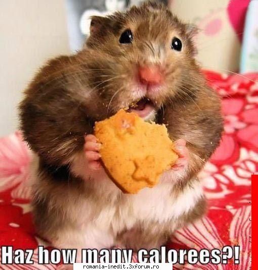 ce ziceee? - Xpector - Funny