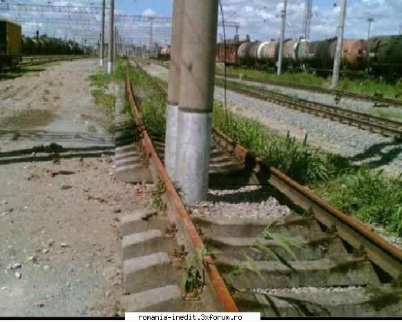 cfr - zflorin - Funny