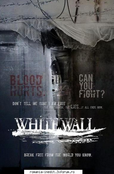 direct download - White Wall 2010 Info Plot Set in a wasteland - Filme - Movies