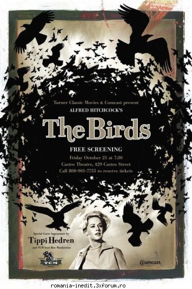 direct download - The Birds 1963 Info Plot A wealthy San Francisco - Filme - Movies