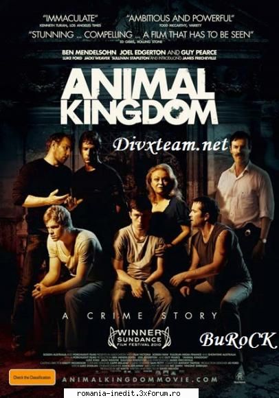 direct download - Animal Kingdom 2010 Info Plot Tells the story of - Filme - Movies