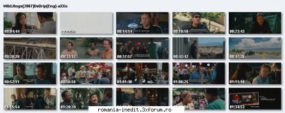 direct download - Wild Hogs DVD rip aXXo - Filme - Movies