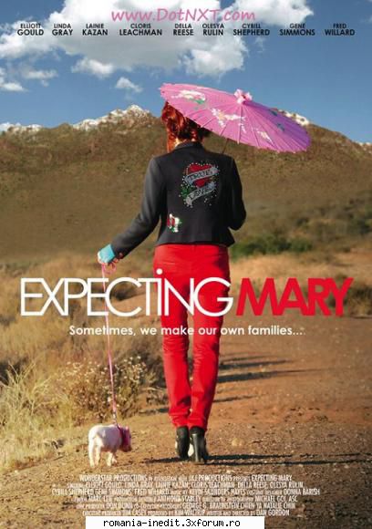 direct download - Expecting Mary 2010 DVDRip XviD-aAF Plot - Filme - Movies