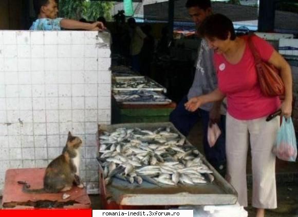e proaspat pestele? - Xpector - Funny