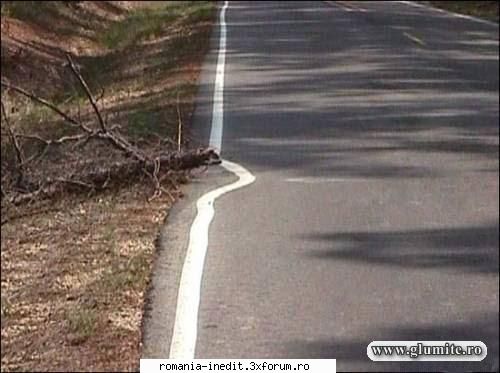 emblematic pentru romania - de la asta se poate dezvolta si in alte domenii - Funny