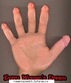 every woman`s dream! - zappul - Funny