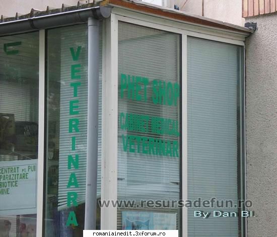fresh - Ce popor de agramaticalsti ! tz tz tz - Funny