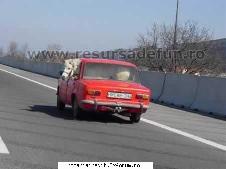 fresh - merg in excursieeee !! nie nie nie nie - Funny