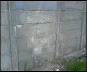 gasiti un idiot mai mare ca asta.... - alxbr2004 - Funny
