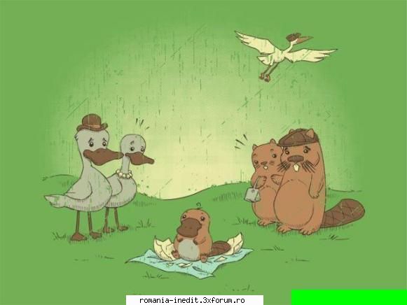 how is made .... - Xpector - Funny