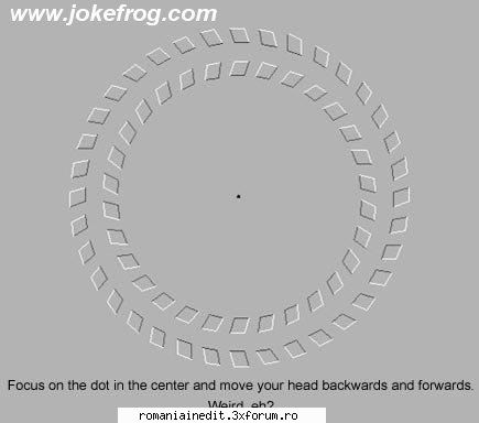 iluzie optica !!!!!!!!!!!!!! - ce vezi ?????????? - Funny