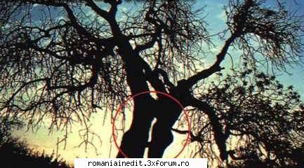 kinky nature... - moromete - Funny