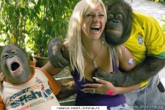 masculii sunt la fel - indiferent de specie - Funny
