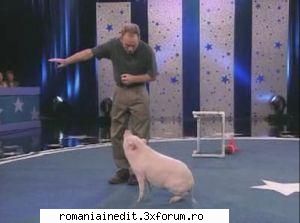 merita vazute !!!! - SoDMaster - Funny