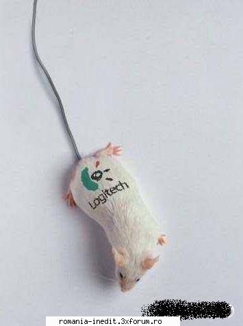 mouse Logitech - smekeru - Funny