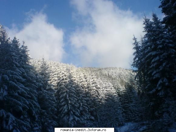 muntii Calimani - iarna in calimani - Poze inedite - Original photos
