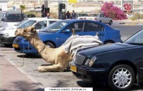 my car - DJ_E - Funny