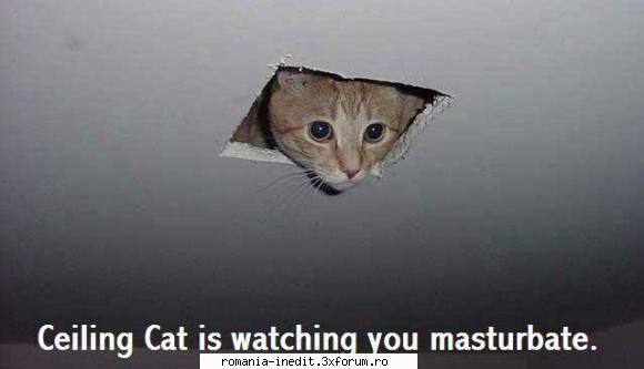 nice - Cateva poze funny: Funny_Pics.rar - 39.6 Mb - Funny