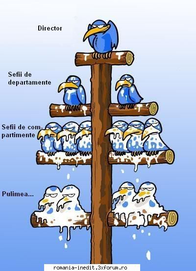 organigrama - offthelimit - Funny