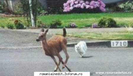 pics - Diabolique - Funny