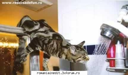pics - Diabolique - Funny