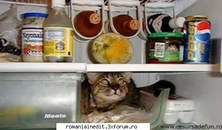 pics - Diabolique - Funny