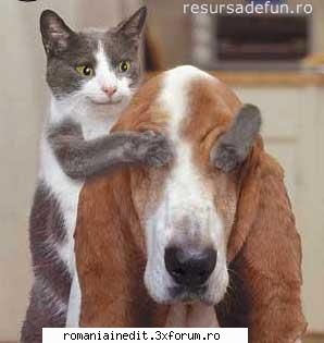 pics - Diabolique - Funny