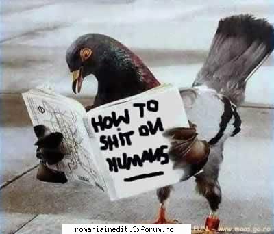 pics - Diabolique - Funny
