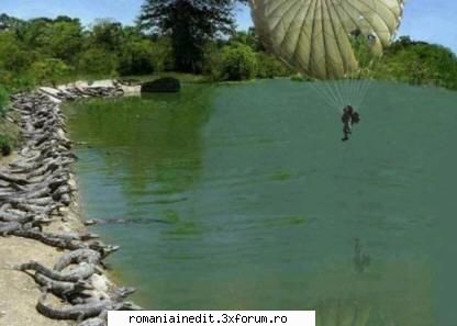proaspat culese... - Happy landing ! - Funny