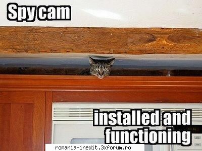 spy cam - Xpector - Funny