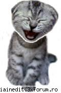 surpriza - SoDMaster - Funny