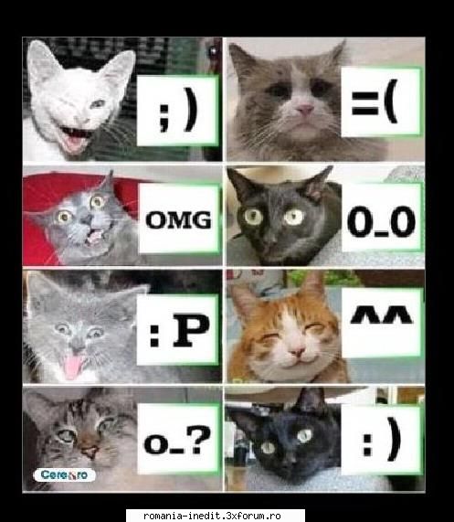 traducerea smilies-urilor de pe mess - zflorin - Funny