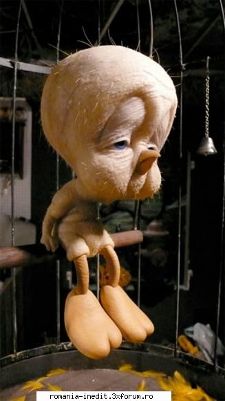 tweety la batranete... - crowned_boy - Funny