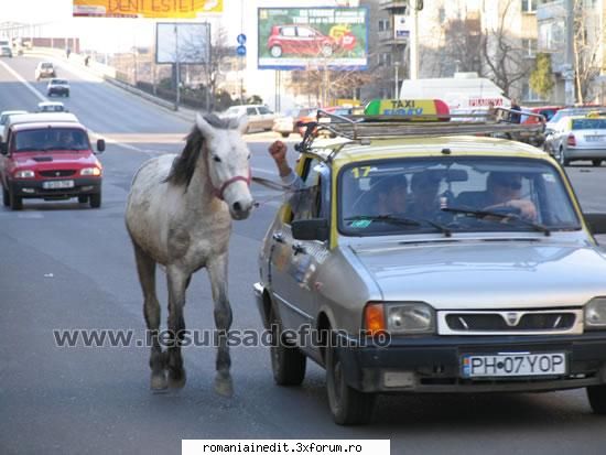 un taxi cu un cal putere! - zappul - Funny