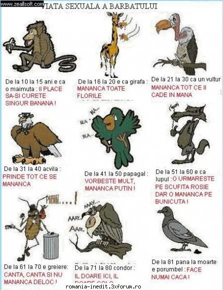 viata sexuala a barbatilor - valentzik - Funny